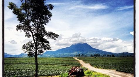 Plan Your Trip to Polomolok: Best of Polomolok Tourism.
